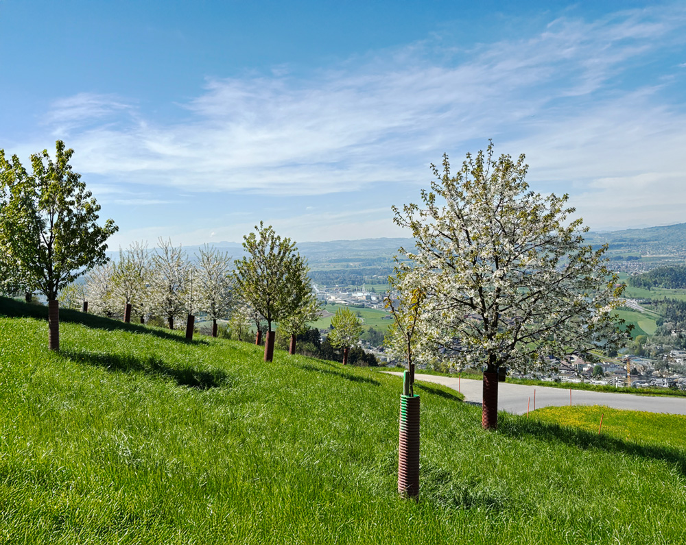 hof_exclusive_spirit Hof Exclusive Spirit