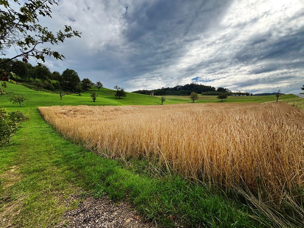 hof_exclusive_spirit_3 Hof Exclusive Spirit