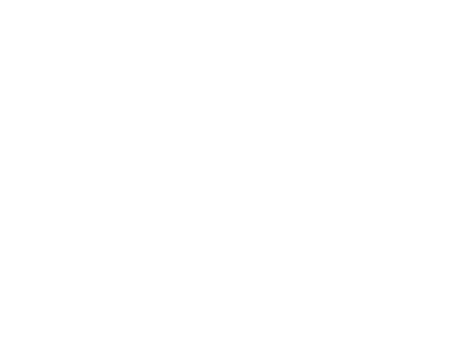 Logo Exclusive Spirit weiss